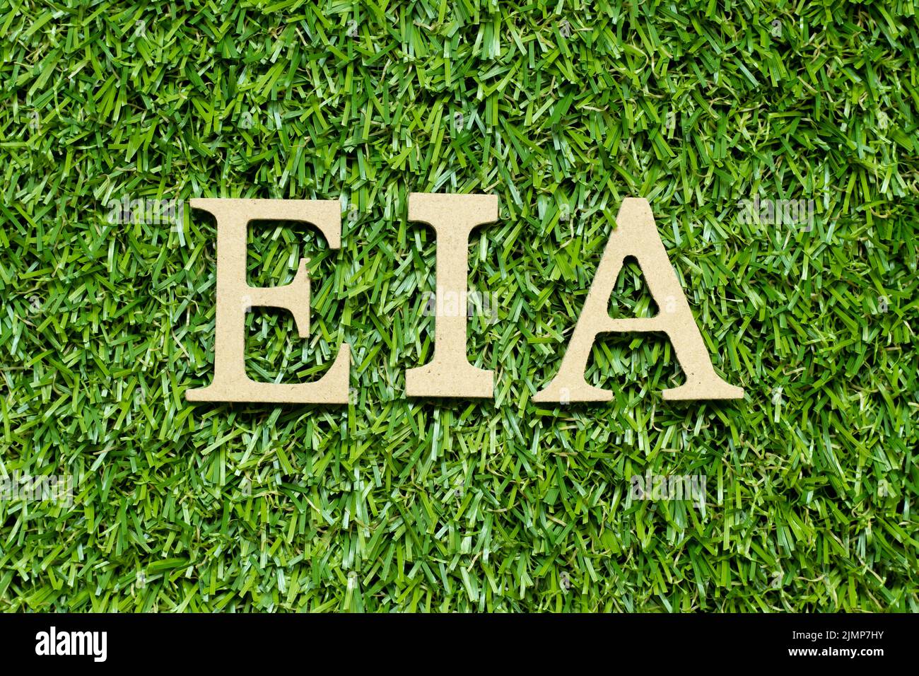 Lettre de l'alphabet bois en mot EIA (abréviation de Environmental impact Assessment) sur fond d'herbe verte Banque D'Images