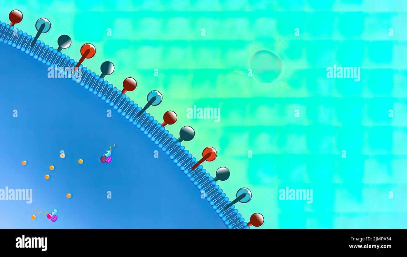 Virus de la inmunodeficiencia humana vih sida Banque de photographies ...