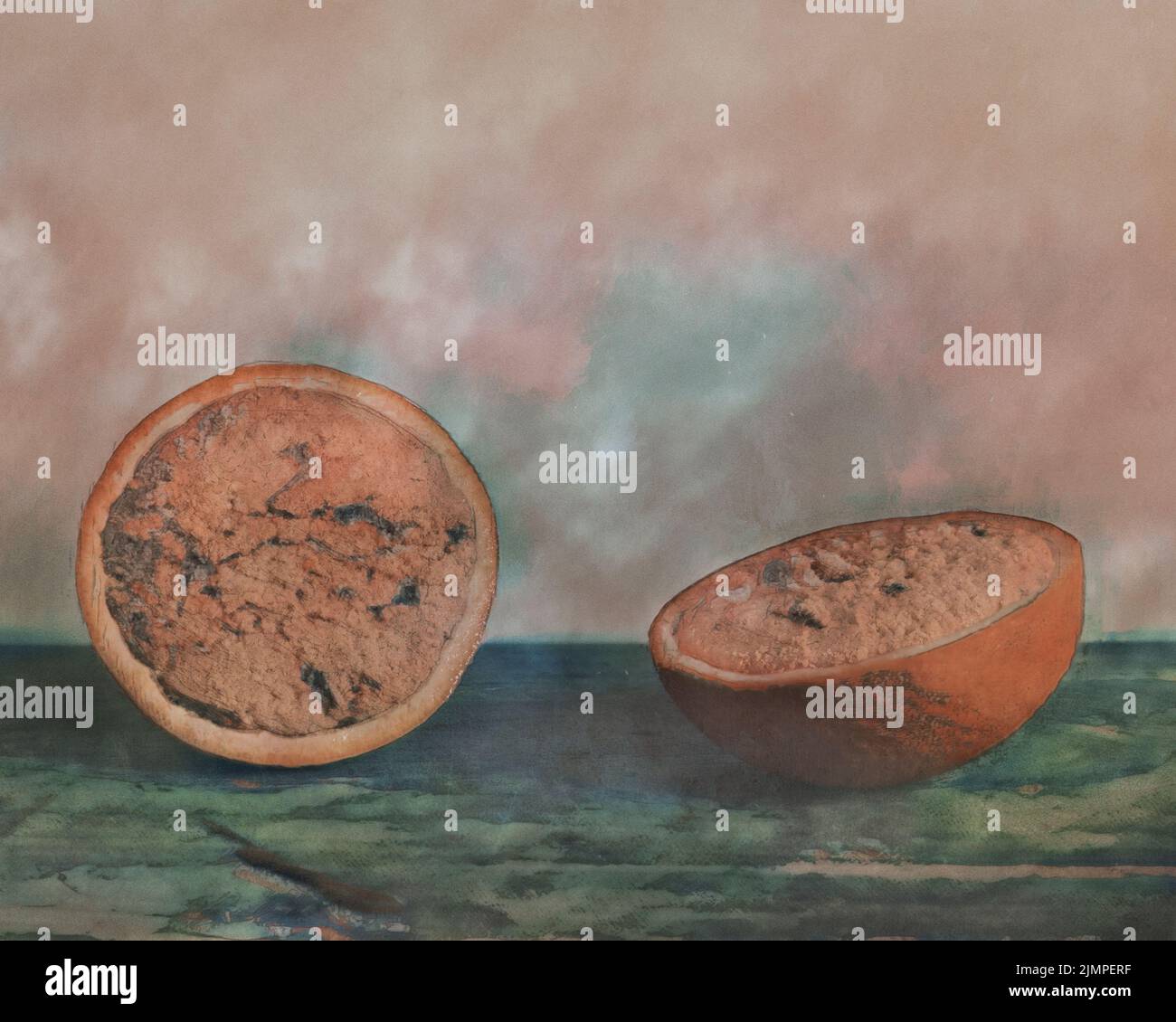 Biscuits aux pépites de chocolat à l'intérieur d'un fruit orange coupé. Une photographie retouchée dans un style de peinture. Banque D'Images