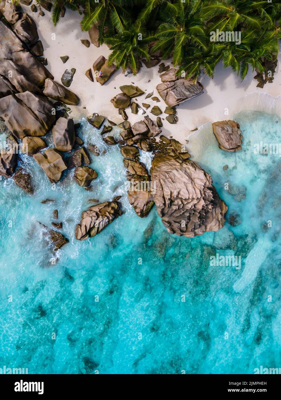 Plage d'Anse Patates, île de la Digue, Seyshelles, plage blanche avec océan bleu et palmiers Banque D'Images