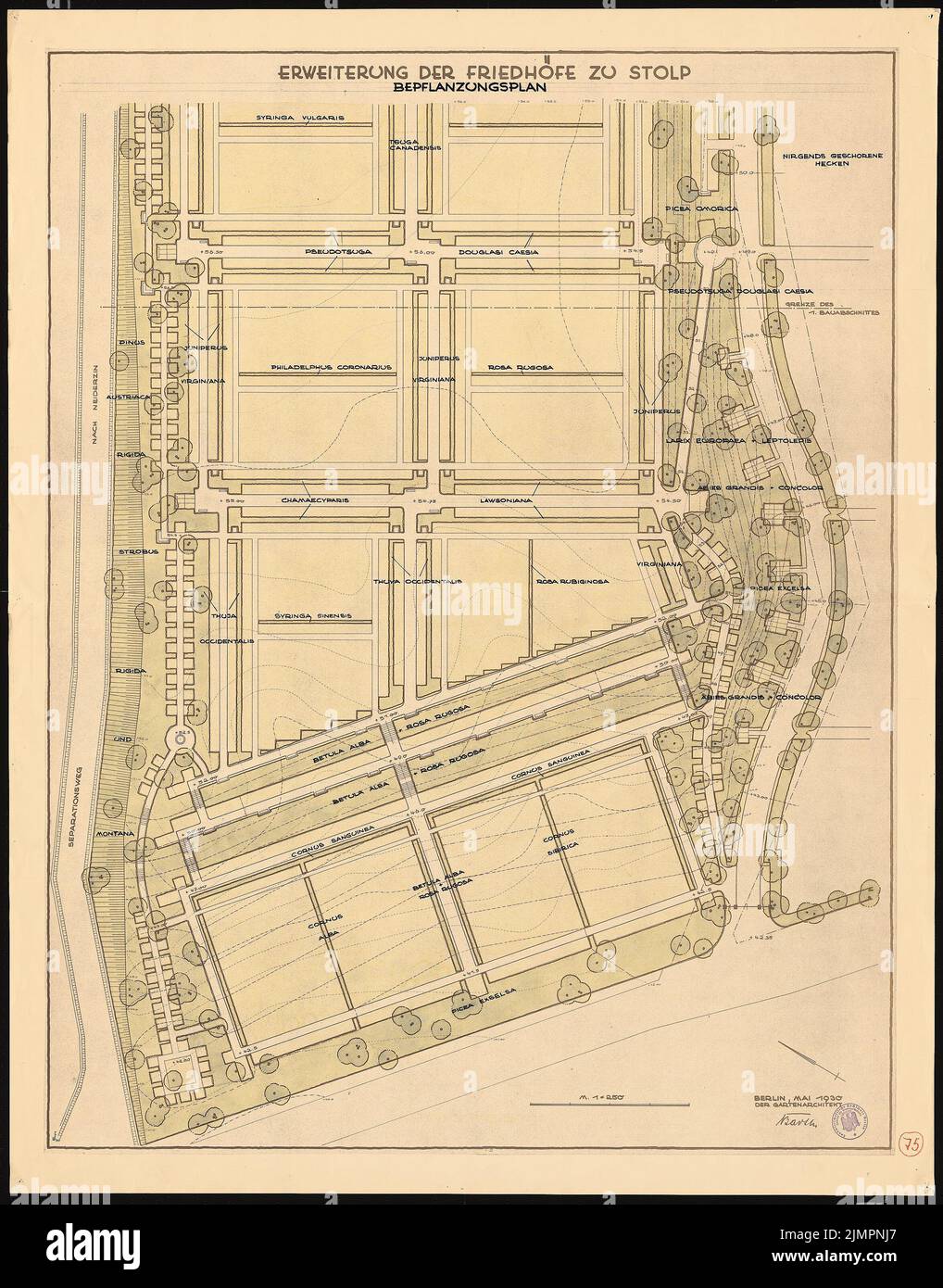 Barth Erwin (1880-1933), agrandissement des cimetières de Stolp/Pommern (05,1930): Plan de plantation en rupture avec Inv.-No 41170 (plan de plancher de la partie nord-ouest de l'agrandissement prévu) 1: 250, échelle; timbre en caoutchouc. Encre, encre couleur aquarelle sur une rupture sur la boîte, 120,1 x 94,1 cm (y compris les bords de balayage) Barth Erwin (1880-1933): Erweiterung der Friedhöfe, Stolp Banque D'Images