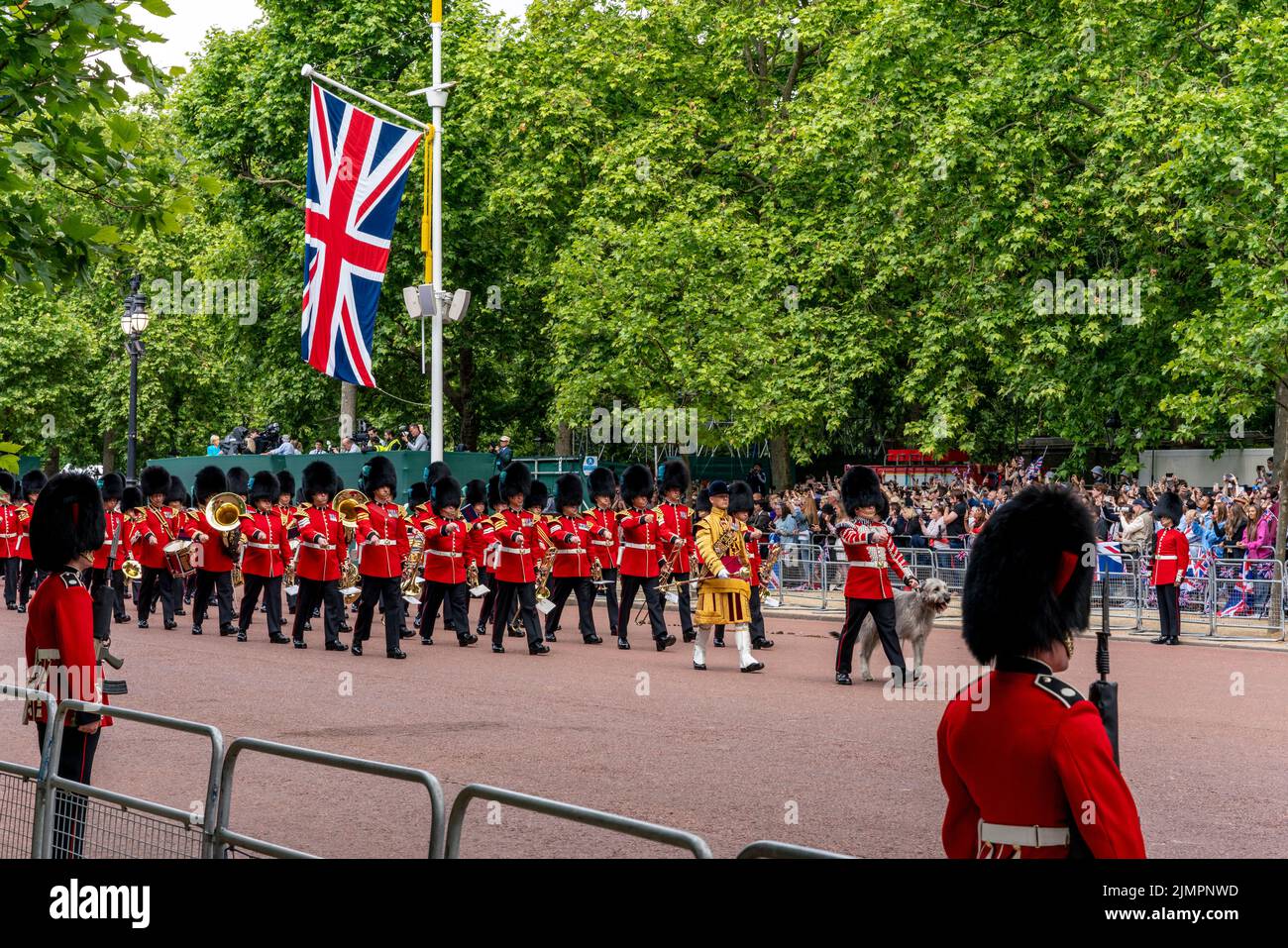 Les gardes irlandais du premier bataillon et la mascotte de leur chien de chasse irlandais « Seamus » prennent part à la parade de l'anniversaire de la reine, Londres, Royaume-Uni. Banque D'Images