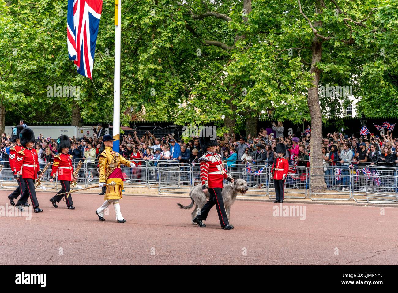 Les gardes irlandais du premier bataillon et la mascotte de leur chien de chasse irlandais « Seamus » prennent part à la parade de l'anniversaire de la reine, Londres, Royaume-Uni. Banque D'Images