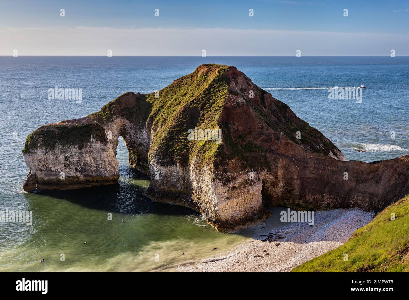 Formation de roches calcaires connue sous le nom de Drinking Dinosaur, Flamborough Head, East Yorkshire Coast. Une colonie de phoques gris peut être vue sur la plage ci-dessous Banque D'Images