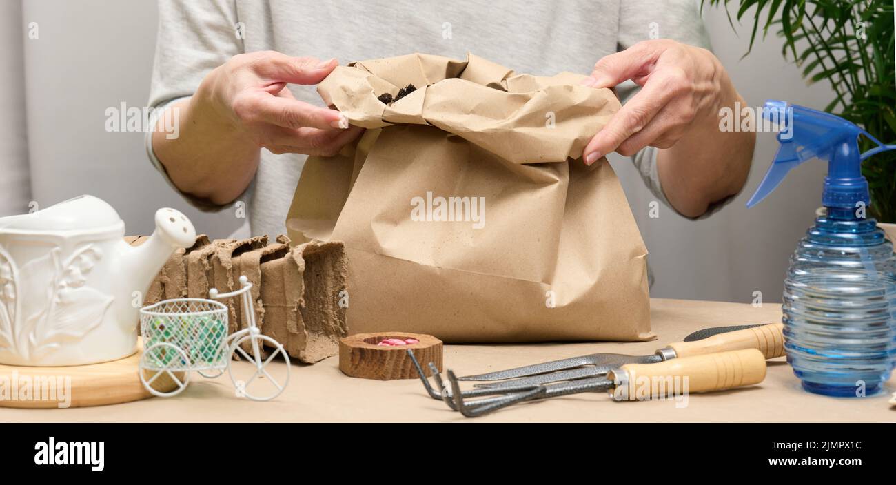 Une femme en vêtements gris tient un sac de terre pour planter des graines dans des tasses en papier. Loisirs et loisirs Banque D'Images