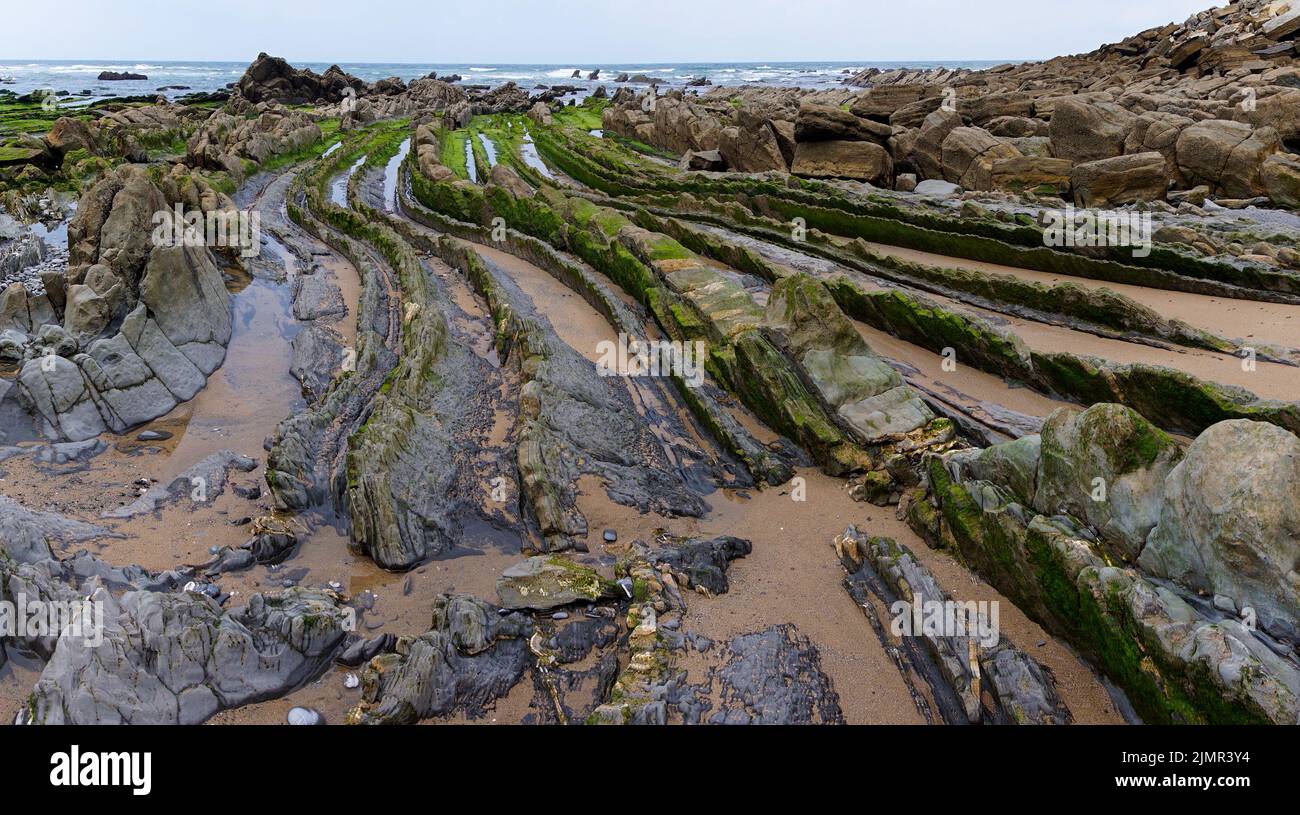 Vue sur les formations rocheuses de Flysch à marée basse sur la plage de Barrika près de Bilbao Banque D'Images