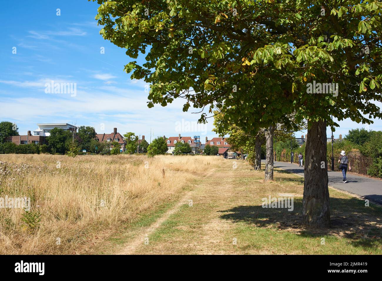 Terrain de loisirs de la seigneurie, Tottenham, dans le nord de Londres, pendant le temps sec en août 2022 Banque D'Images