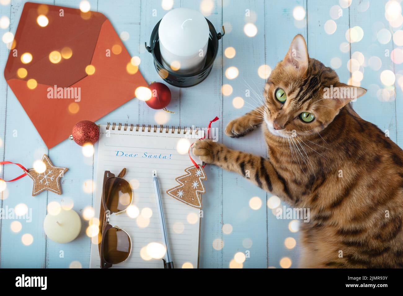 Une lettre au Père Noël, une enveloppe, des jouets de Noël et un chat sur une table en bois. Banque D'Images