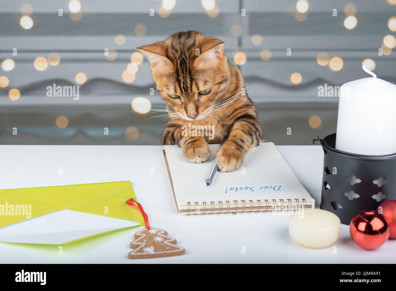 Fond de Noël avec des décorations de Noël, une bougie, une lettre au Père Noël et un chat. Banque D'Images