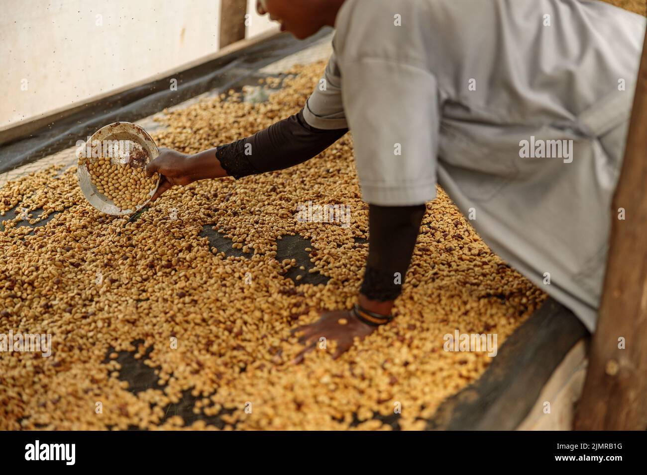 Femme afro-américaine pendant le processus du miel avec la manière traditionnelle au Rwanda Banque D'Images