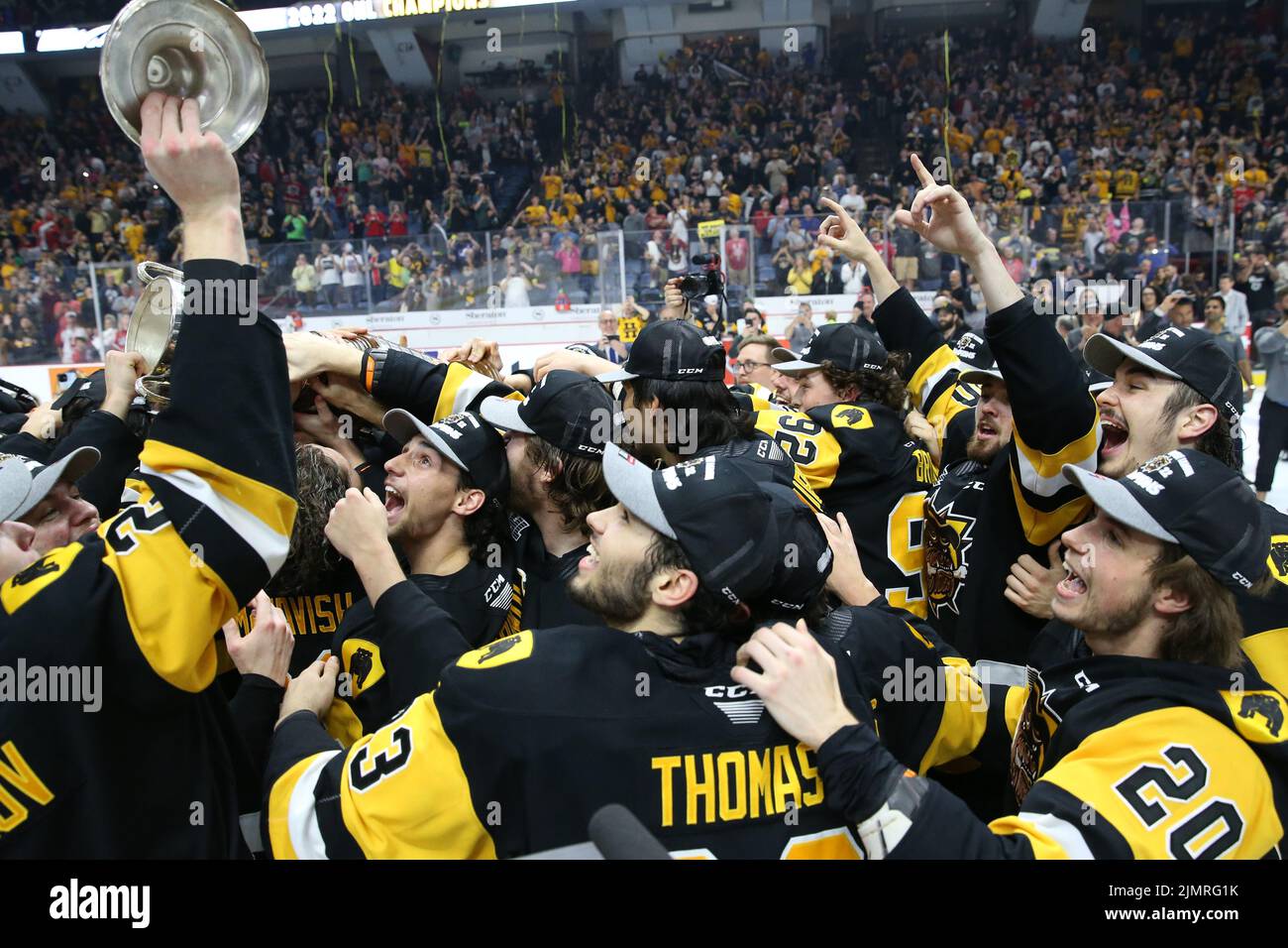 (Éditorial seulement) Hamilton Bulldogs. Luke Durda/Alamy Banque D'Images