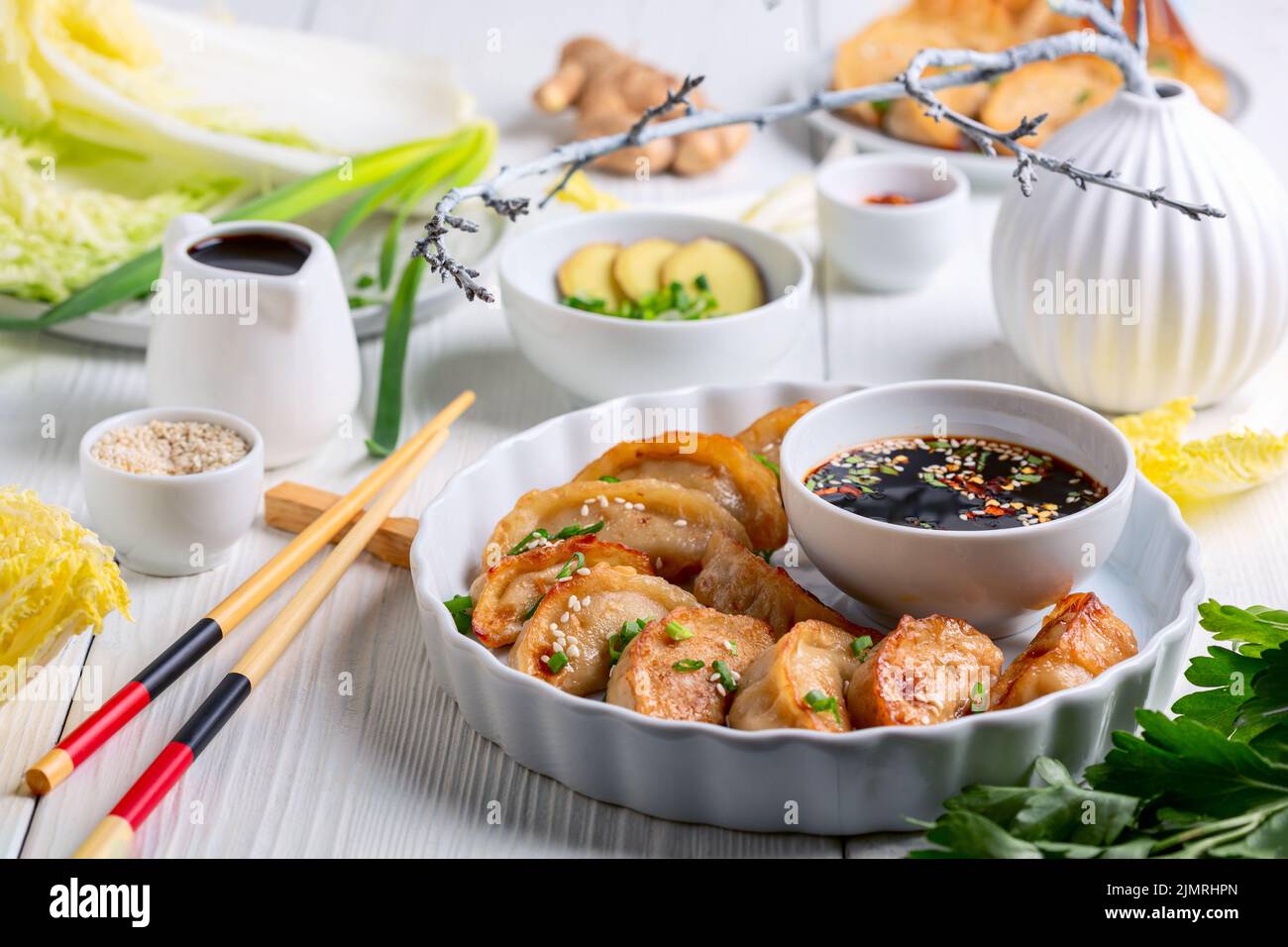 Boulettes de gyoza japonaises traditionnelles. Banque D'Images