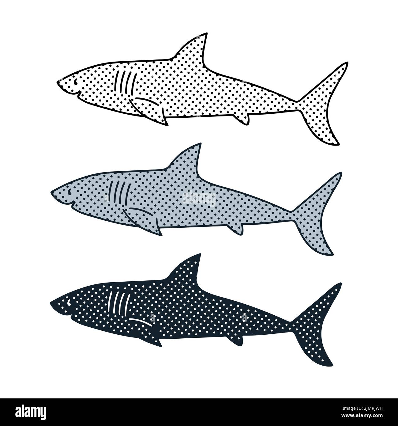 Illustration du vecteur requin dans 3 styles isolés sur fond blanc. Banque D'Images