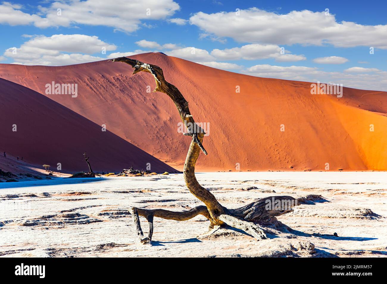 Le désert de Namib est le plus ancien désert Banque D'Images