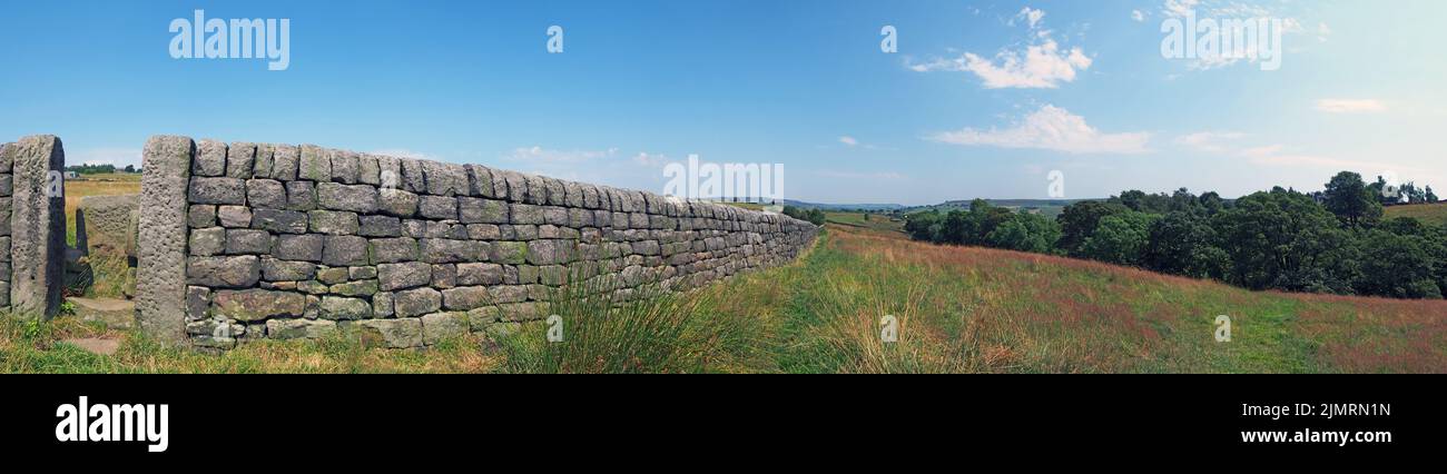 Scène d'été rurale panoramique avec une porte dans un long mur de pierre entouré d'herbe de prairie avec arbre et colline des Dales du Yorkshire de l'Ouest Banque D'Images