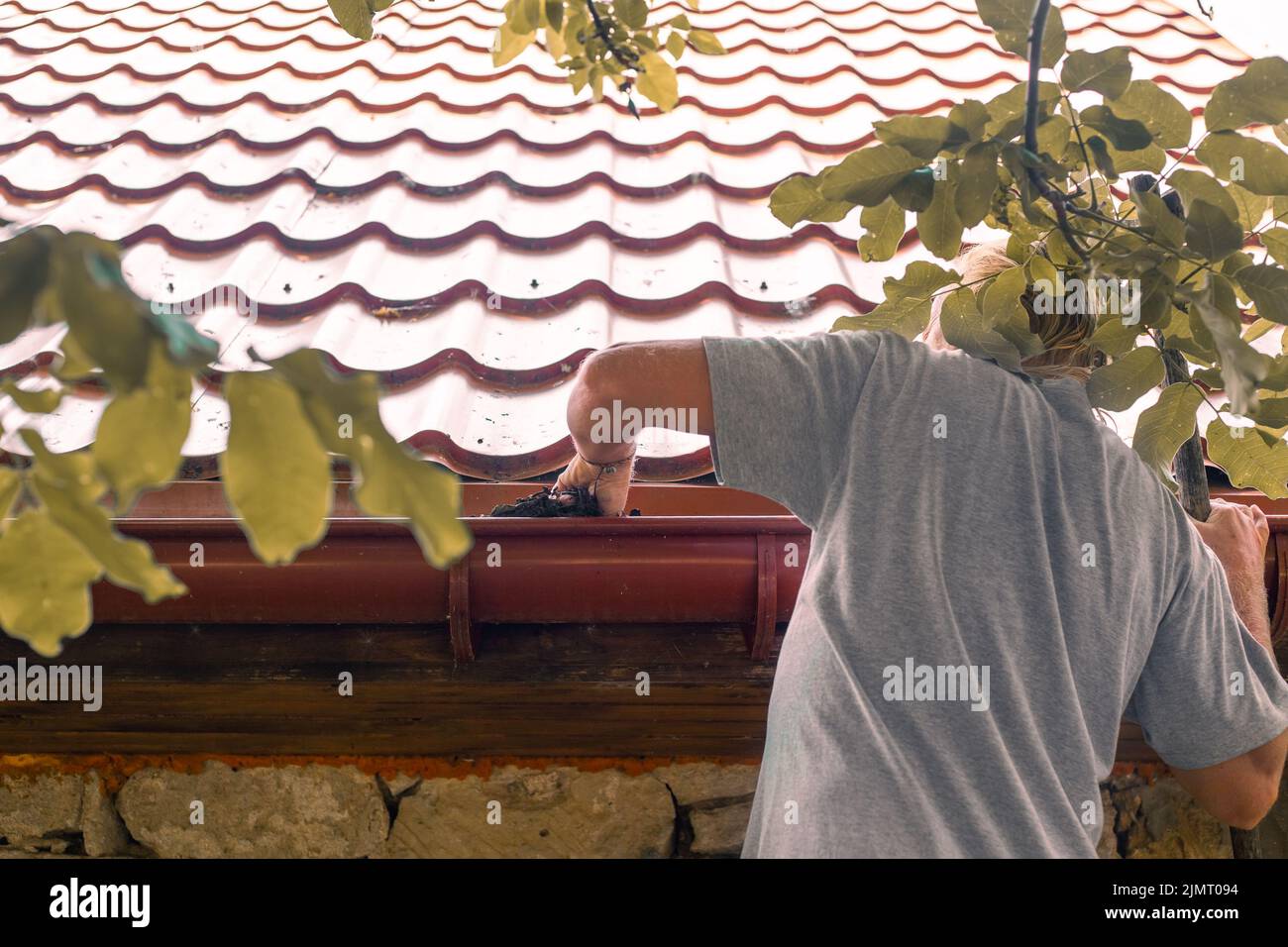 Un jardinier nettoie la gouttière d'un tuyau d'évacuation des feuilles sèches. Prévention de l'obstruction de vidange. Banque D'Images
