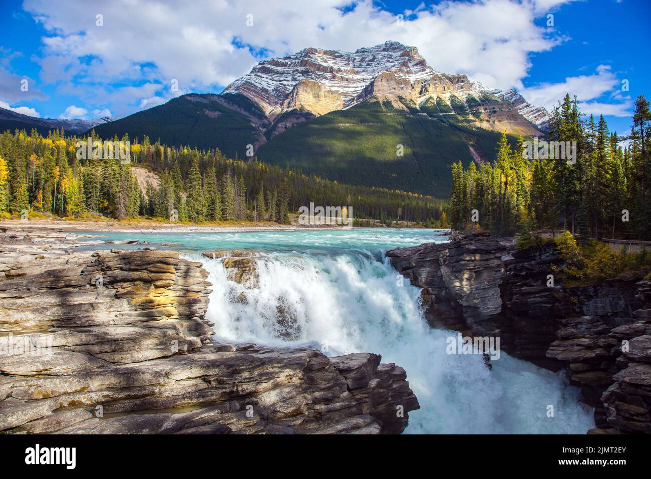 Chutes Athabasca, populaires auprès des touristes Banque D'Images