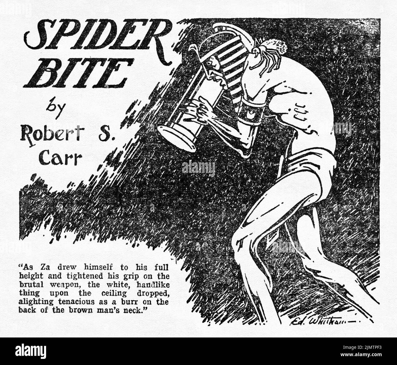 Spider Bite, par Robert S. Carr. Illustration par Ed Whitham de Weird Tales, juin 1926 Banque D'Images