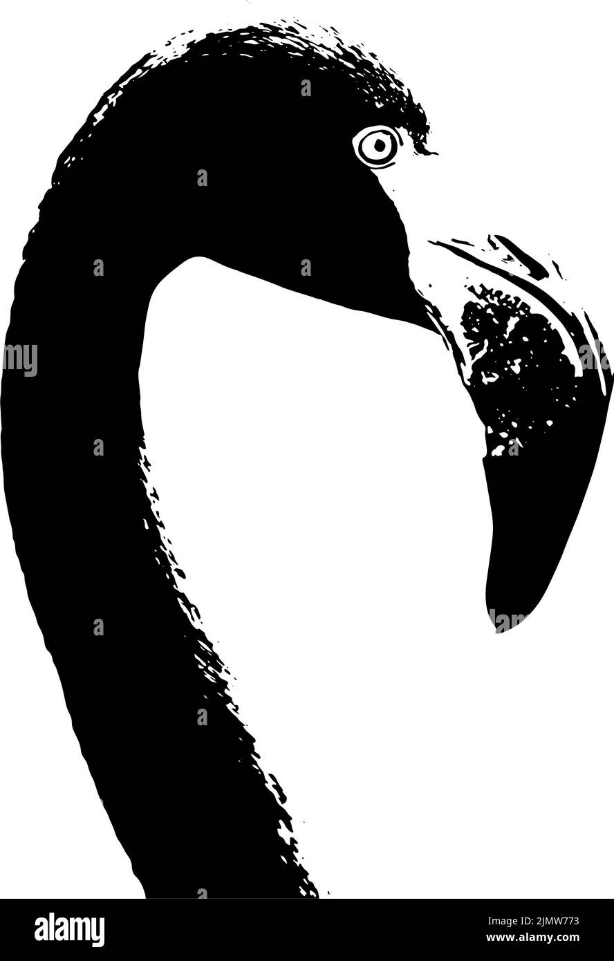 Portrait Flamingo pour l'impression et les œuvres d'art. Motif d'un portrait de flamants roses. Banque D'Images
