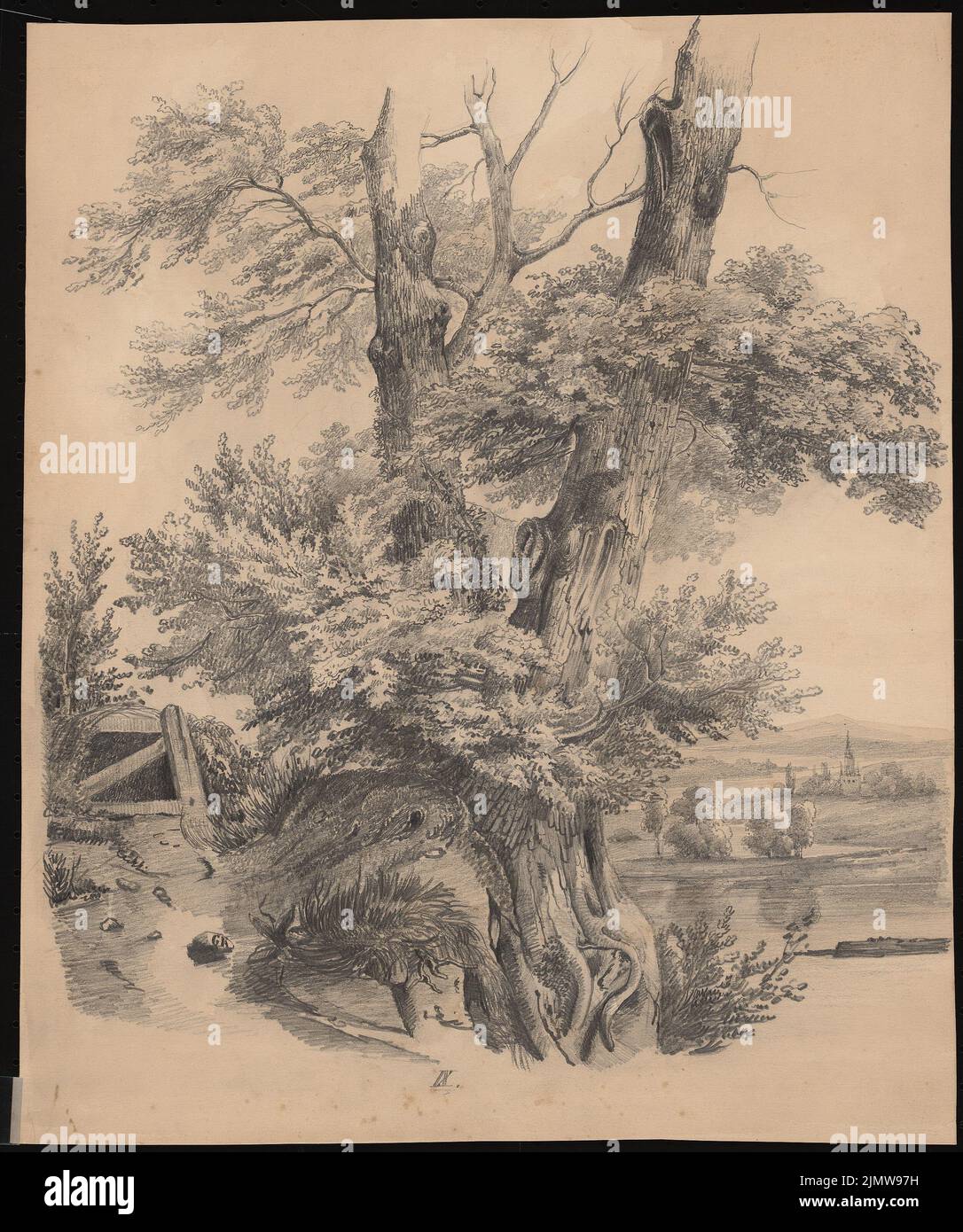 Gustav ail (1833-1916), arbre dans un paysage (sans dat.): Vue perspective. Crayon sur carton, 42,5 x 35,5 cm (y compris les bords de balayage) Knoblauch Gustav (1833-1916): Baum in einer Landschaft Banque D'Images