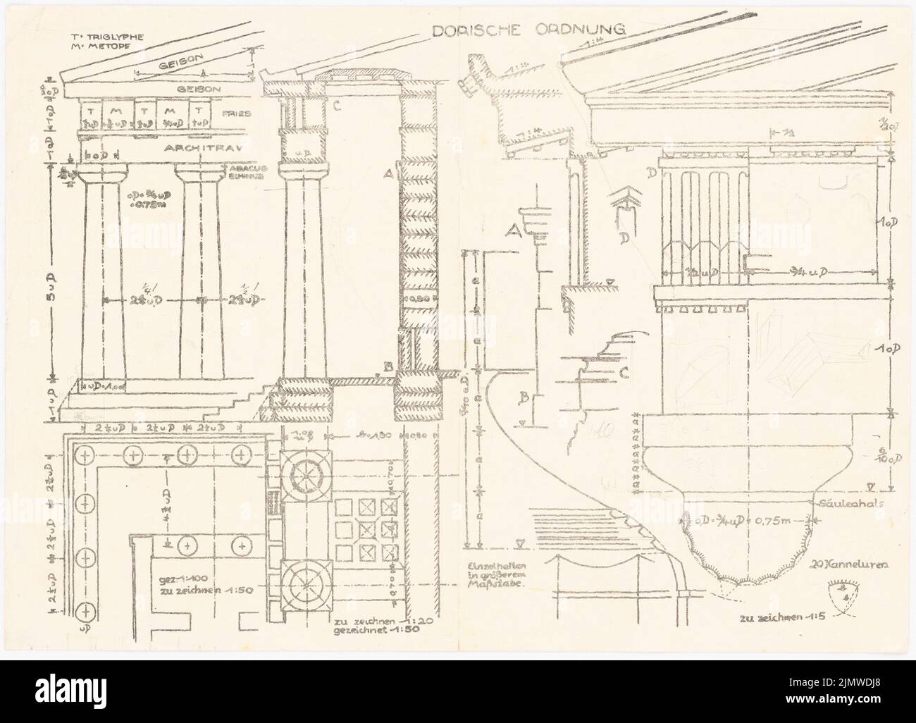 Michel Paul jun. (1922-1943), feuilles de tâches et modèles de mise en plan. Colonnes Doric Order (env 1941): Feuille de travail pour les colonnes de l'ordre dorique (architravi, col de colonne, cannélurs etc.): Déchirement, coupe, plan de plancher, détails. Encre, crayon sur pression sur papier, 30,6 x 42,4 cm (y compris les bords de numérisation) Michel Paul jun. (1922-1943): Aufgabenblätter und Zeichenvorlagen. Säulen Dorischer Ordnung Banque D'Images