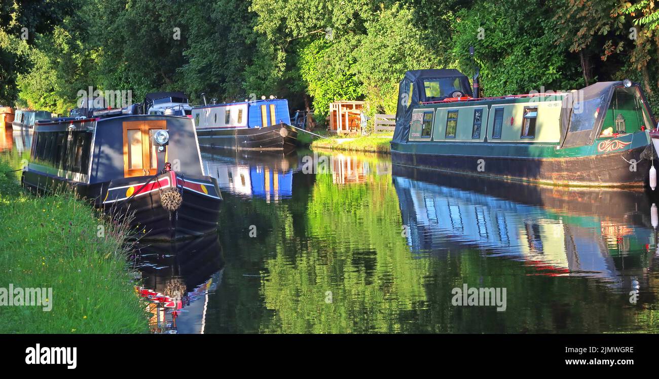 Barges d'été amarrées sur le canal de Bridgewater, à Grappenhall, Warrington, Cheshire , Angleterre, ROYAUME-UNI, WA4 Banque D'Images