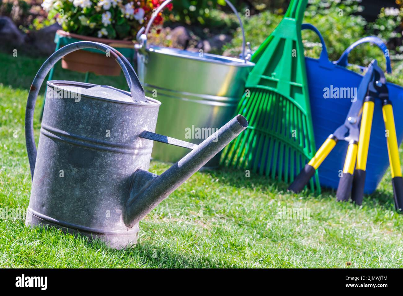 Outils de jardinage sur l'herbe dans le jardin. Banque D'Images