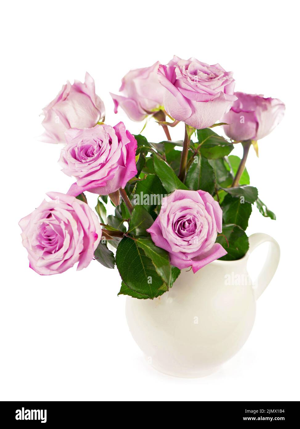 Fleur rose avec passe-cheveux, vue latérale. Belles roses sur tige avec des feuilles isolées sur fond blanc. Banque D'Images