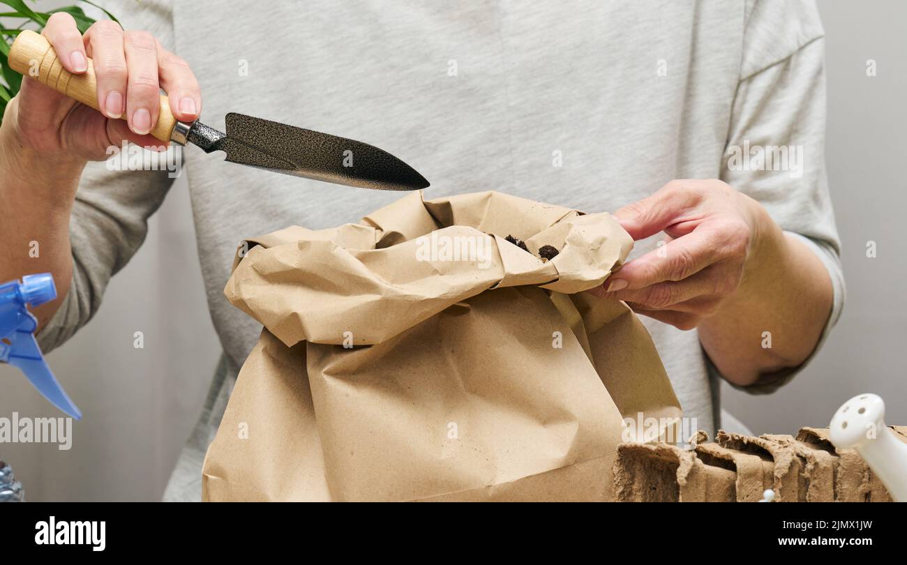 Une femme en vêtements gris tient un sac de terre pour planter des graines dans des tasses en papier. Loisirs et loisirs Banque D'Images