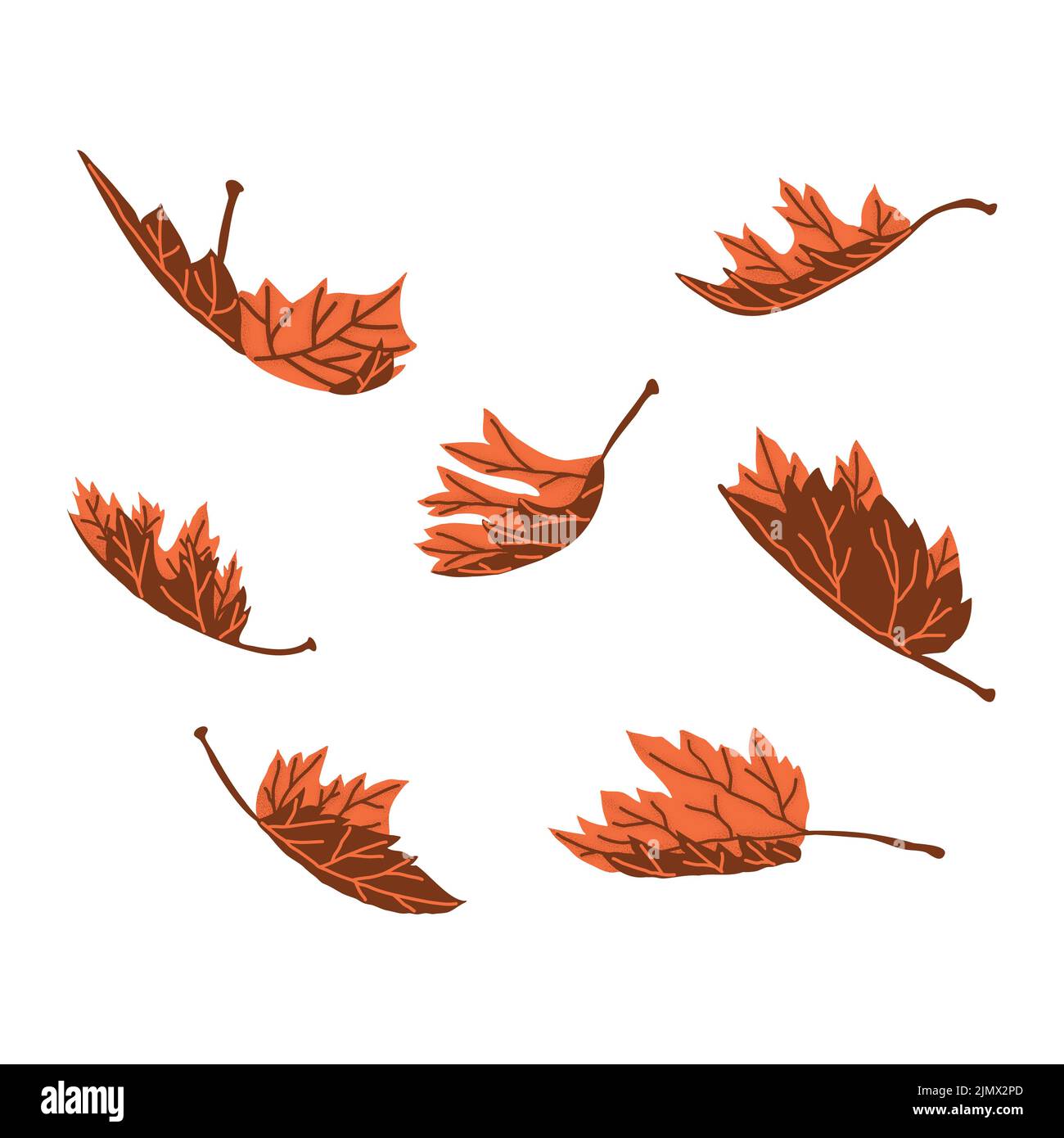 Illustration de vecteur de chute de feuilles d'automne sèches. Vol de feuilles pliées de la saison d'automne. Ensemble de 7 couleur brun orange texture feuille ressource graphique isolée Illustration de Vecteur