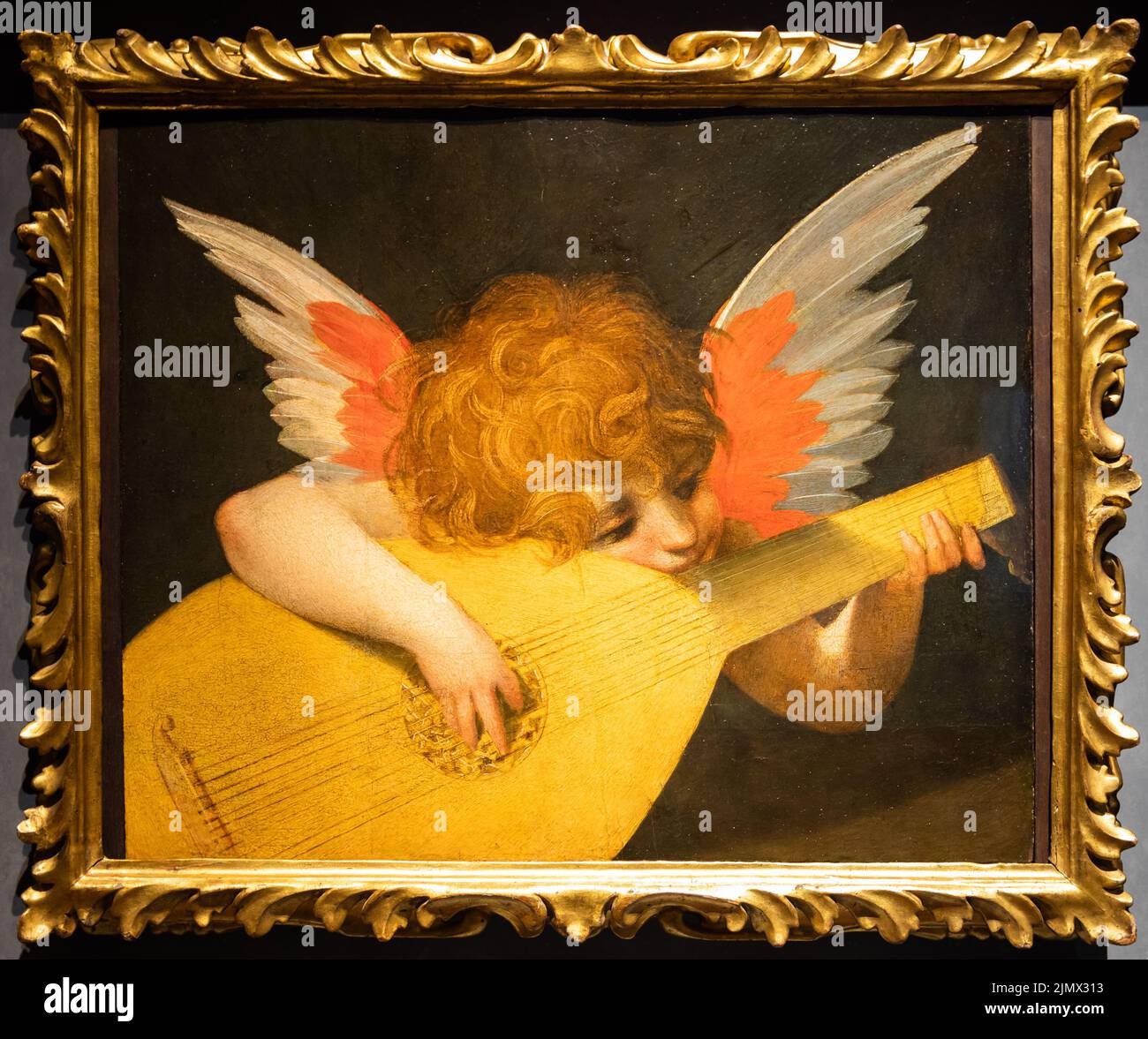 Florence, Italie - Circa août 2021. Ange jouant un luth, c.1521 - huile sur le panneau. Banque D'Images
