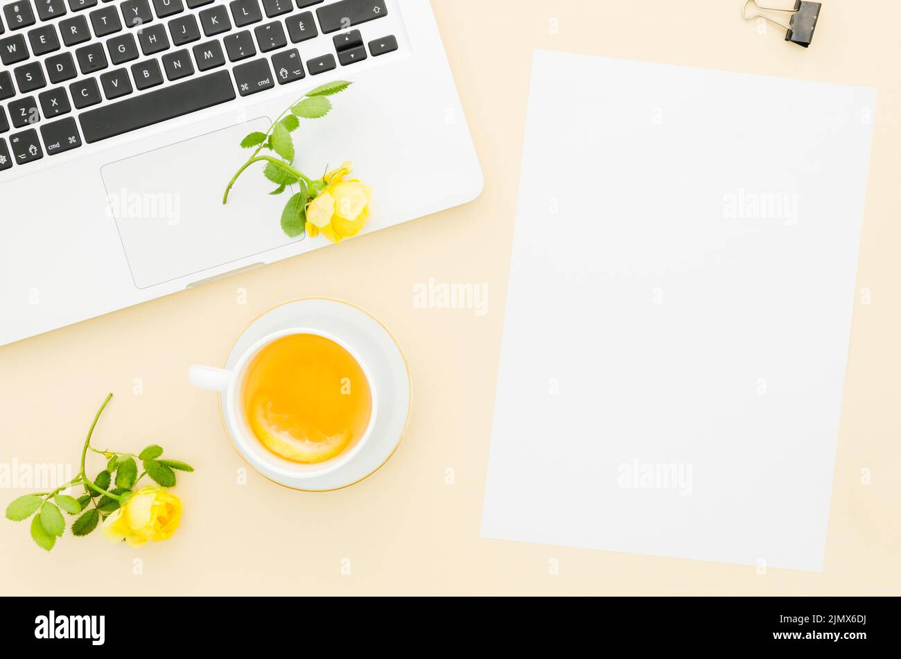 Maquette de papier à poser à plat Banque D'Images