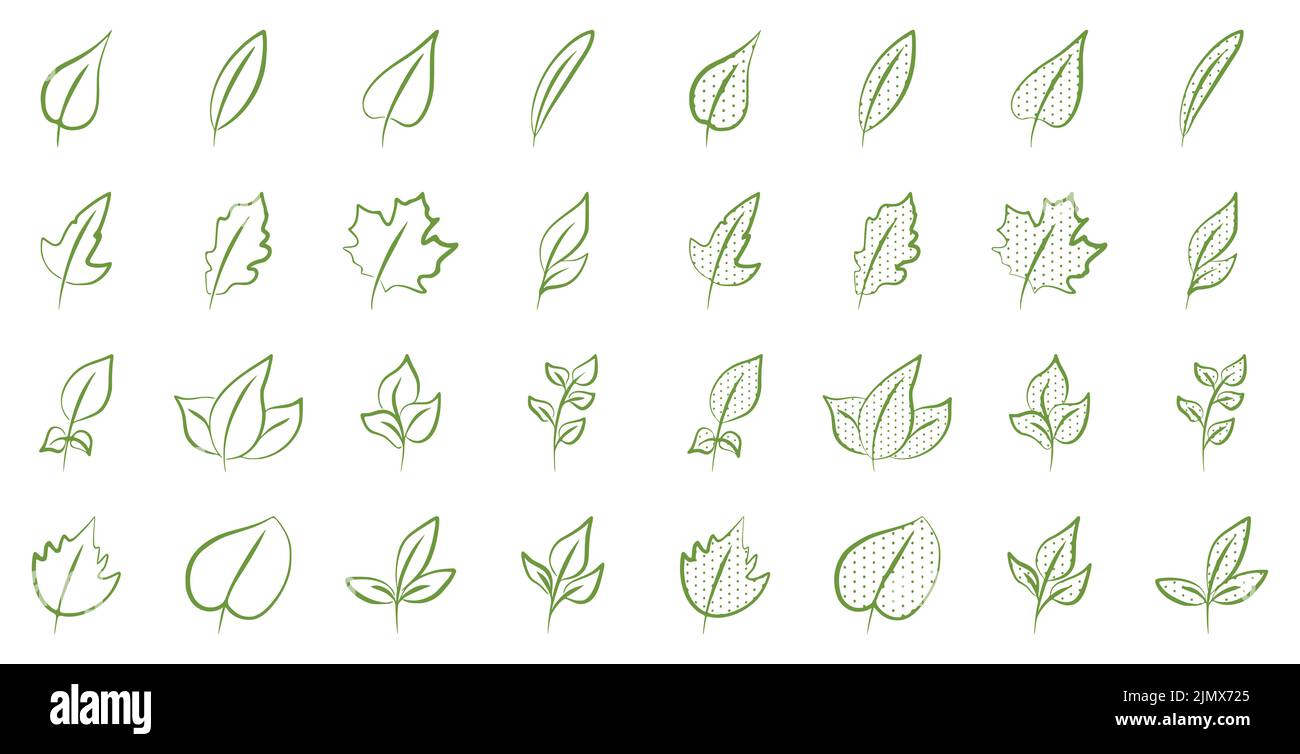 Ensemble vectoriel de feuilles vertes en forme de caniche sur fond blanc. Nature, feuille, feuillage, écologie clip art design. Banque D'Images