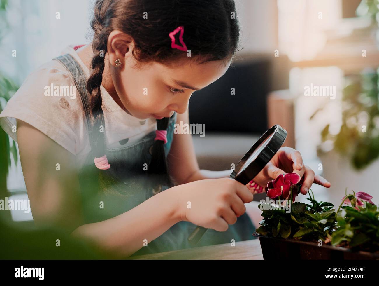 Il est temps d'explorer quelques fleurs. Une adorable petite fille regardant à travers une loupe tout en analysant les plantes à la maison. Banque D'Images