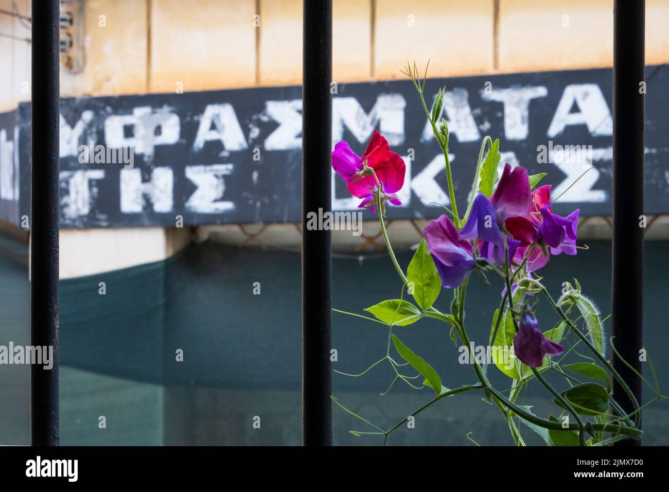 Vue vers un bâtiment abandonné en ruines dans la ville fantôme de Varosha, Famagousta à Chypre Banque D'Images