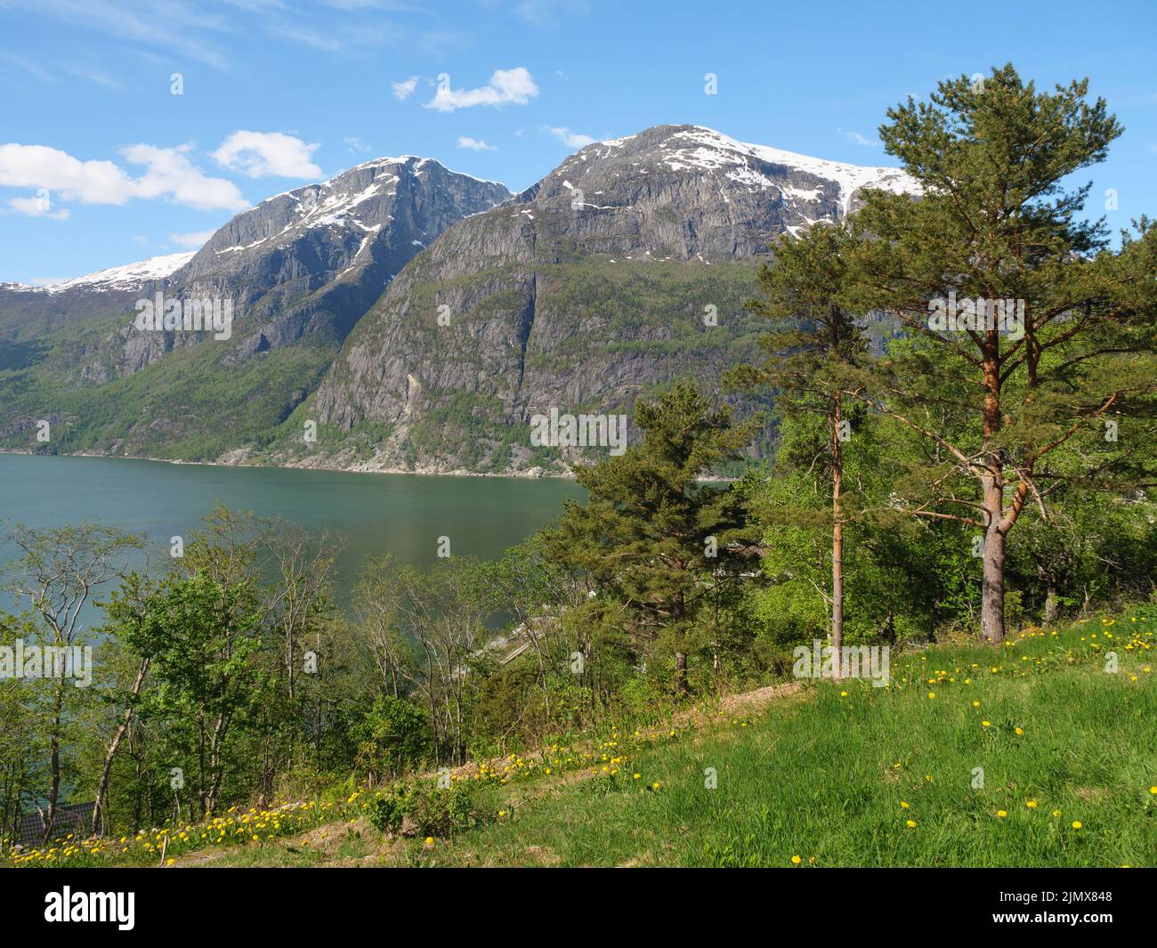 Fjord en norvège Banque D'Images