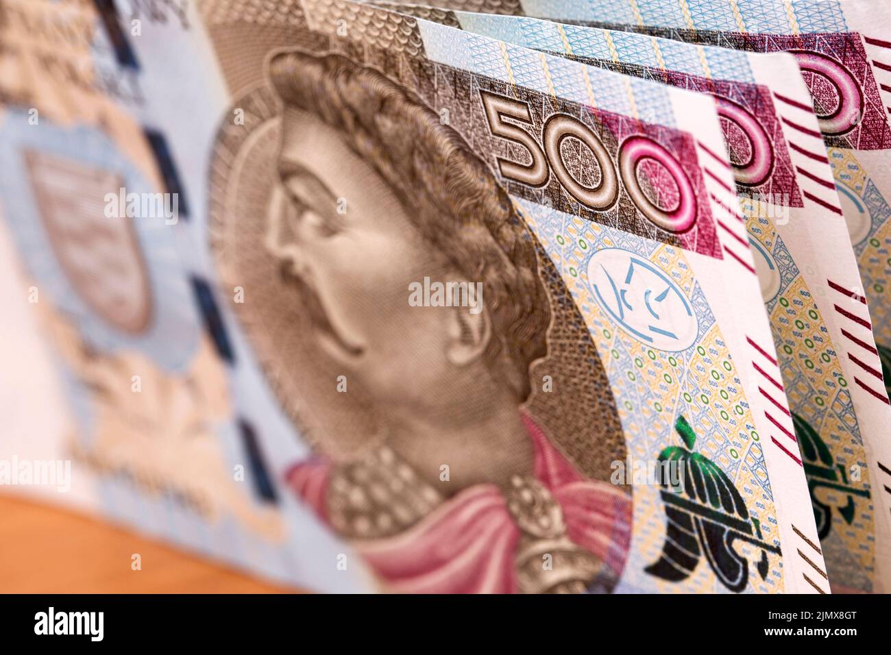 Polonais Money - Zloty une formation professionnelle Banque D'Images