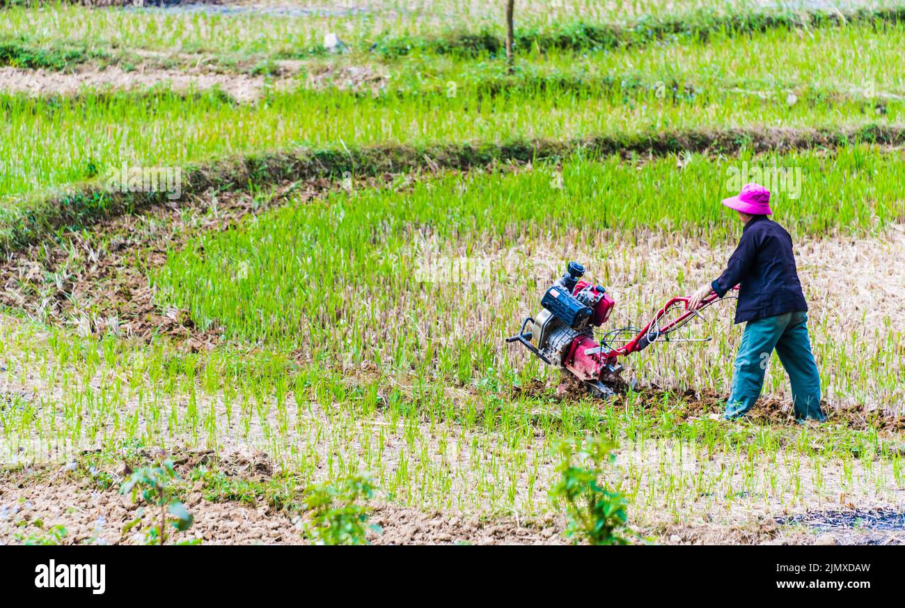 Agriculture autonome à forte intensité de main-d'œuvre dans la province de Ha Giang Banque D'Images