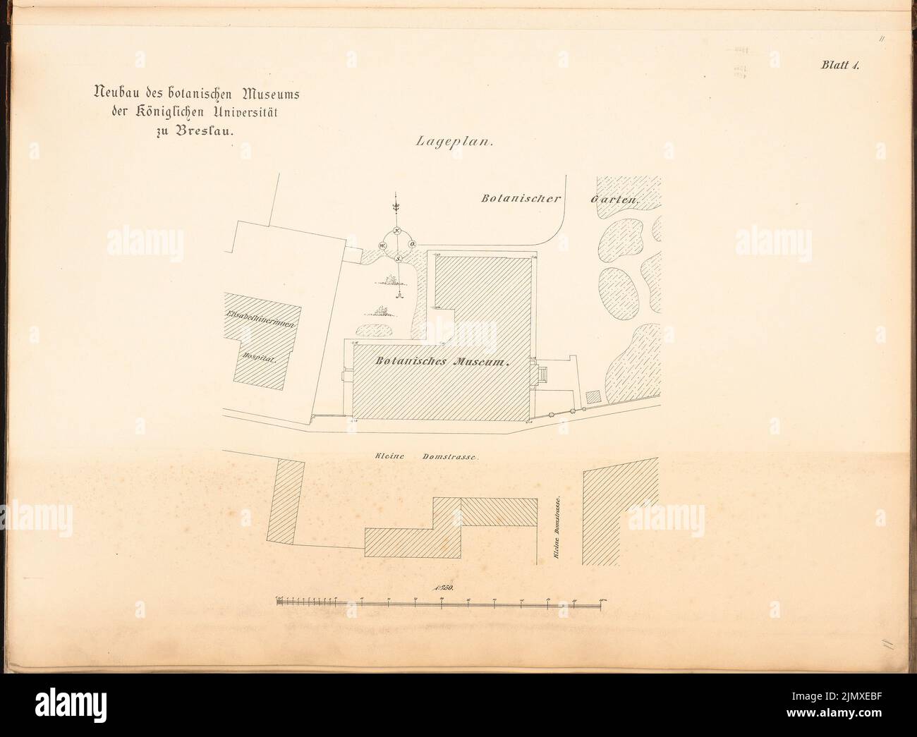 Knorr Friedrich, Université, Wroclaw. Musée botanique (env 1889): plan du site 1: 250. Lithographie sur papier, 50,6 x 68,9 cm (y compris les bords de balayage) Knorr Friedrich : Universität Breslau. Musée Botanisches Banque D'Images