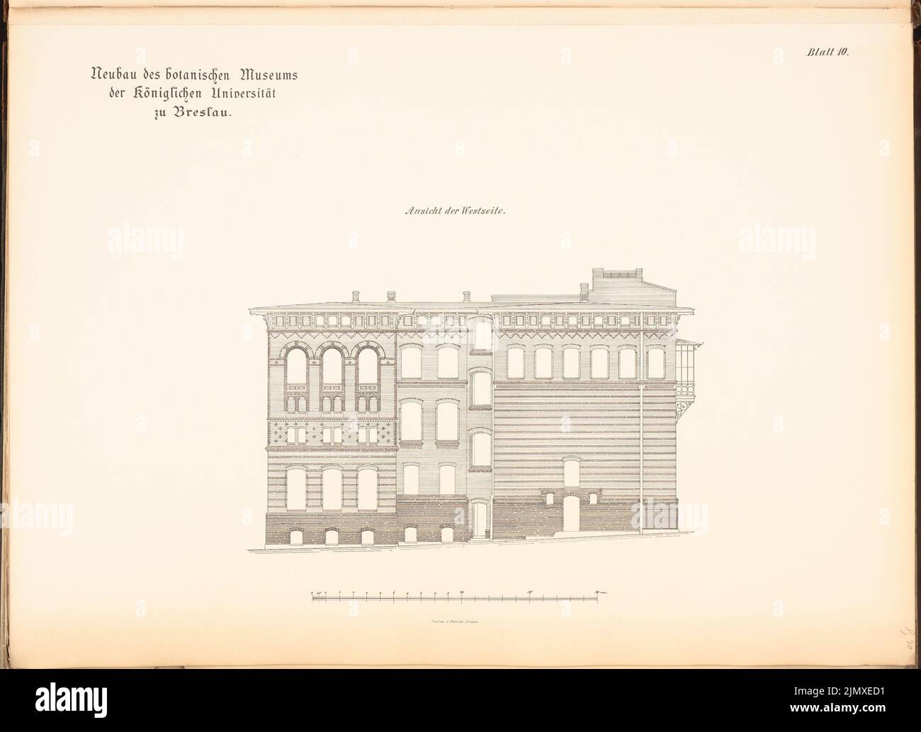 Knorr Friedrich, Université, Wroclaw. Musée botanique (env 1889): Vue du côté ouest. Lithographie sur papier, 50,1 x 68,9 cm (y compris les bords de balayage) Knorr Friedrich : Universität Breslau. Musée Botanisches Banque D'Images