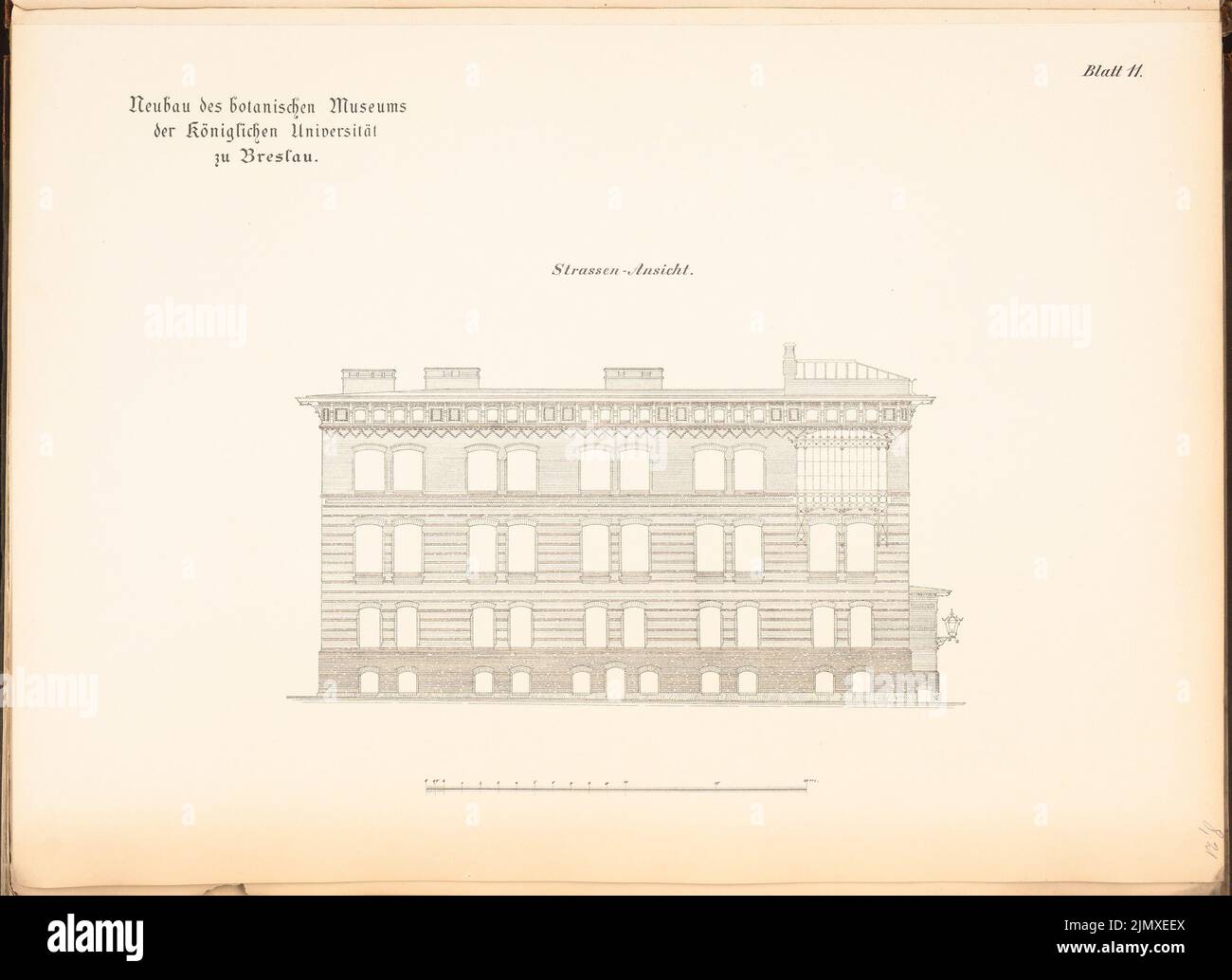 Knorr Friedrich, Université, Wroclaw. Musée botanique (env 1889): vue sur la rue. Lithographie sur papier, 50 x 68,8 cm (y compris les bords de balayage) Knorr Friedrich : Universität Breslau. Musée Botanisches Banque D'Images
