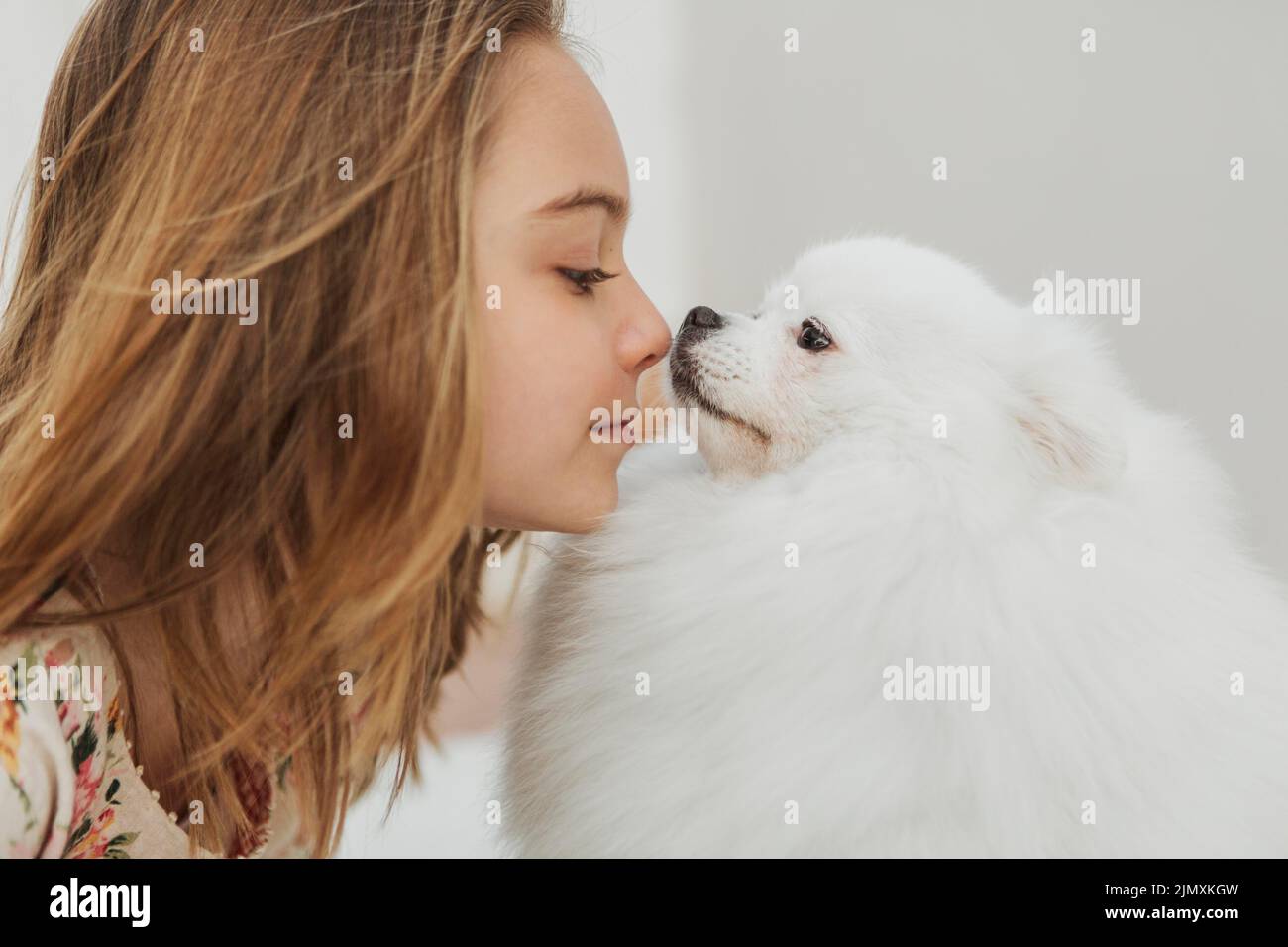 Chien fille touchant le nez Banque D'Images