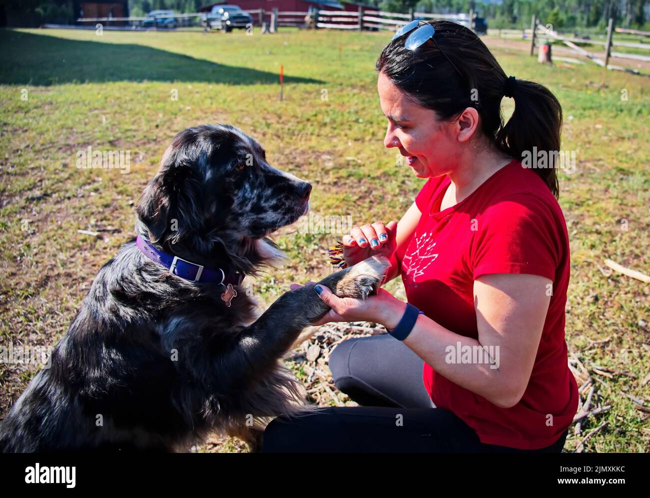 Femme mature tenant la patte du chien Banque D'Images
