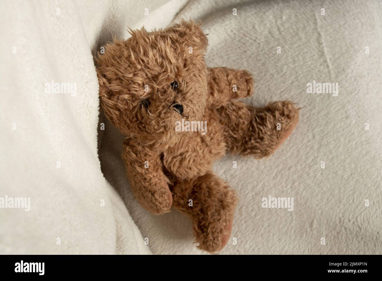 le bébé ours en peluche brun est assis sur une chaise blanche et regarde vers le haut, le jouet pour enfants sur un fond blanc Banque D'Images