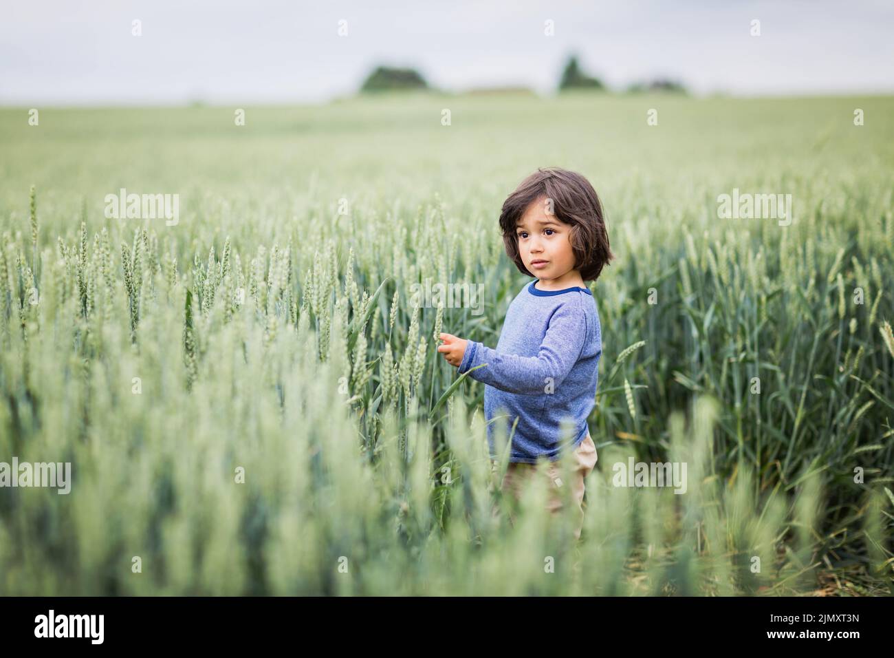 Un petit garçon charmant qui marche sur le terrain Banque D'Images