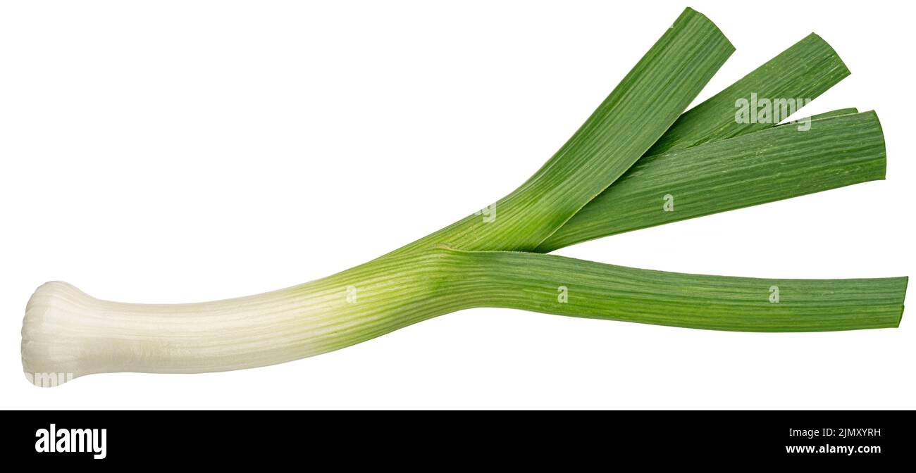 Poireau fond blanc Banque de photographies et d’images à haute ...
