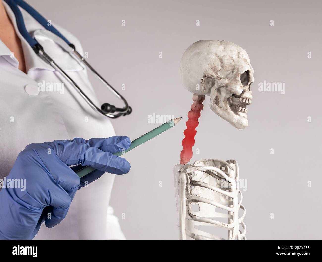 Main du médecin pointant vers le squelette de la colonne cervicale avec point rouge et expliquant au patient le diagnostic médical ou l'anatomie d'enseignement aux étudiants. Douleurs au cou. Photo de haute qualité Banque D'Images
