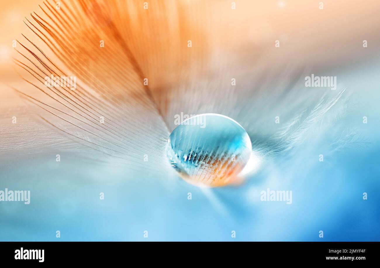 Goutte d'eau sur plume sur fond turquoise orange flou. Banque D'Images