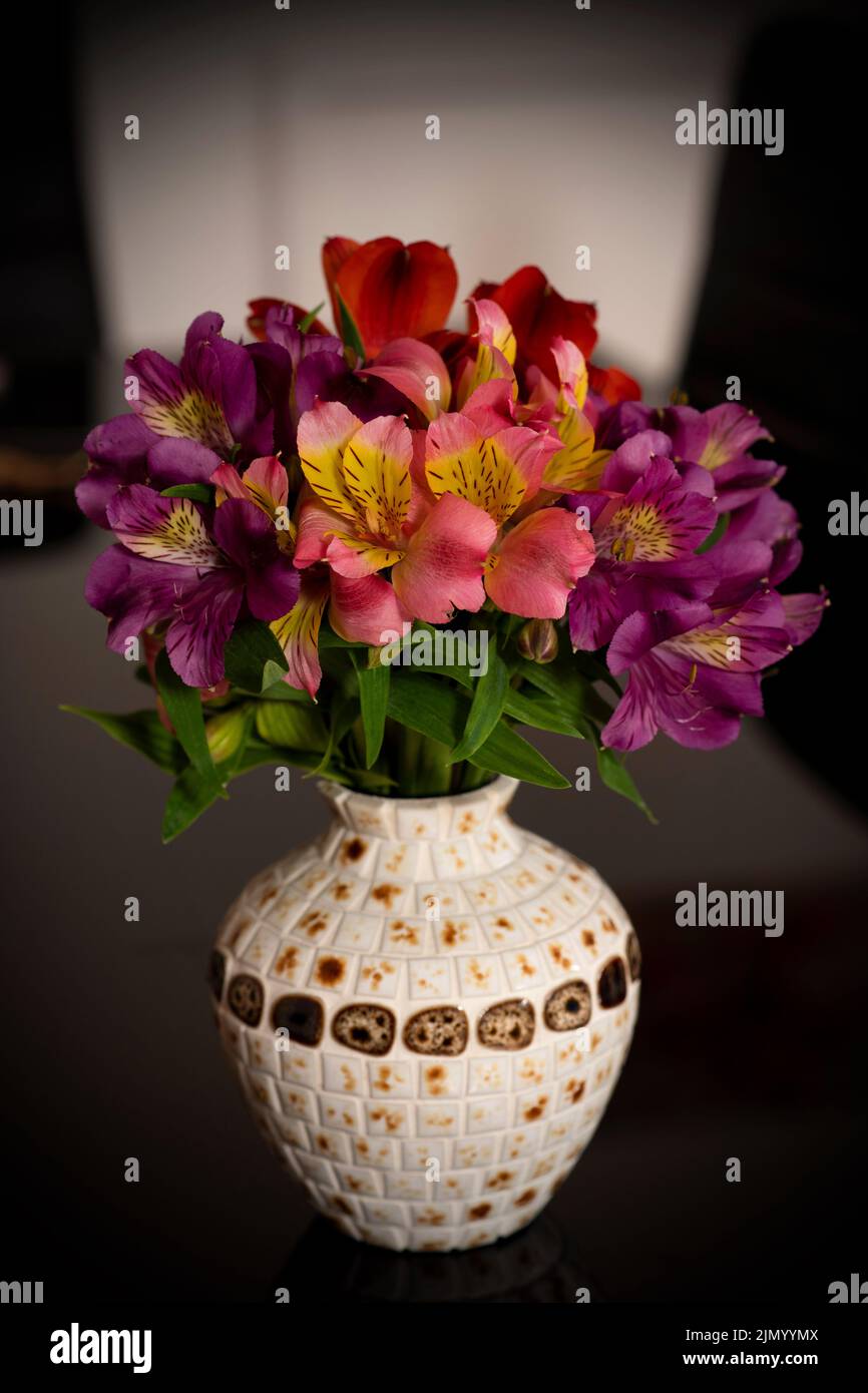 Lily colorée des Incas fleurs dans un vase sur fond noir Banque D'Images