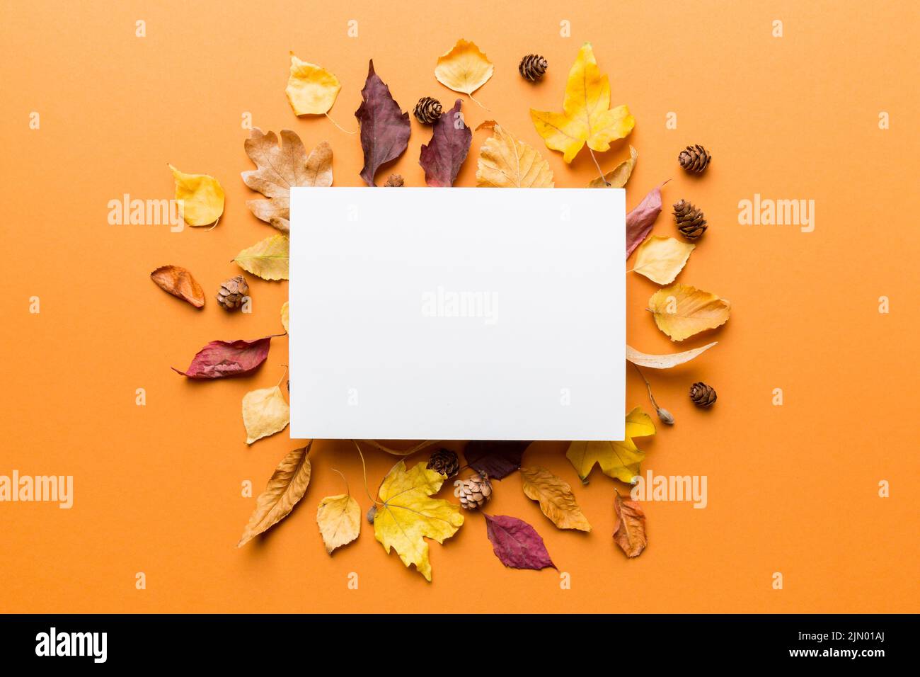 Composition d'automne avec papier vierge et feuilles séchées sur la table. Flat lay, vue de dessus, espace de copie. Banque D'Images